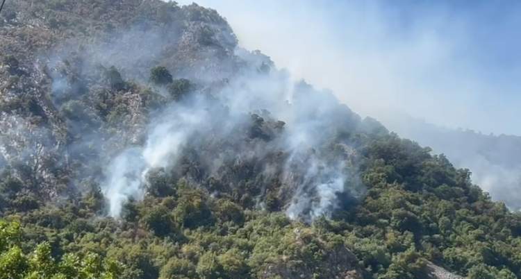 Pas 6 ditësh betejë me zjarrin, banorët e Delvinës dhe Finiqit kthehen përballë dëmeve të mëdha