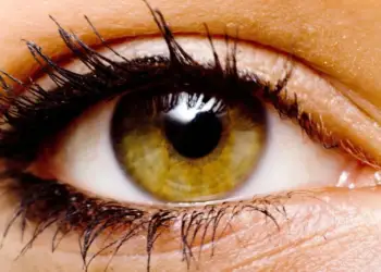 A keni sy ngjyrë lajthie? Zbuloni se çfarë tregon kjo për ju dhe personalitetin tuaj