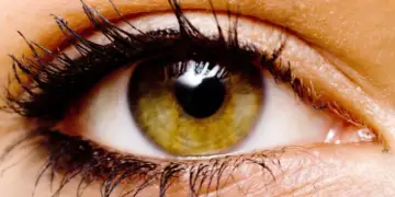 A keni sy ngjyrë lajthie? Zbuloni se çfarë tregon kjo për ju dhe personalitetin tuaj