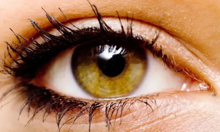 A keni sy ngjyrë lajthie? Zbuloni se çfarë tregon kjo për ju dhe personalitetin tuaj