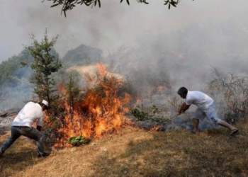 Pesë vatra zjarri në vend: Tre aktive, dy nën monitorim, vijon puna në terren