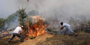 Pesë vatra zjarri në vend: Tre aktive, dy nën monitorim, vijon puna në terren