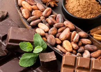 Çokollatë me shije të re? Shkencëtarët po luajnë me mikrobet për ta bërë të mundur