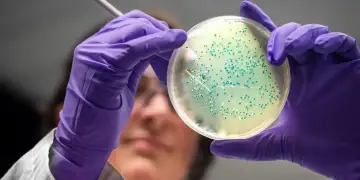 Inteligjenca artificiale krijon antibiotikë për gonorrenë dhe superbakteret MRSA