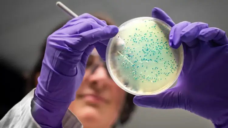 Inteligjenca artificiale krijon antibiotikë për gonorrenë dhe superbakteret MRSA