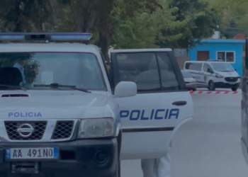 Vrasja me thikë e 14-vjeçarit/ Si ndodhi krimi i rëndë, i mituri u takua me autorin për t’u sqaruar
