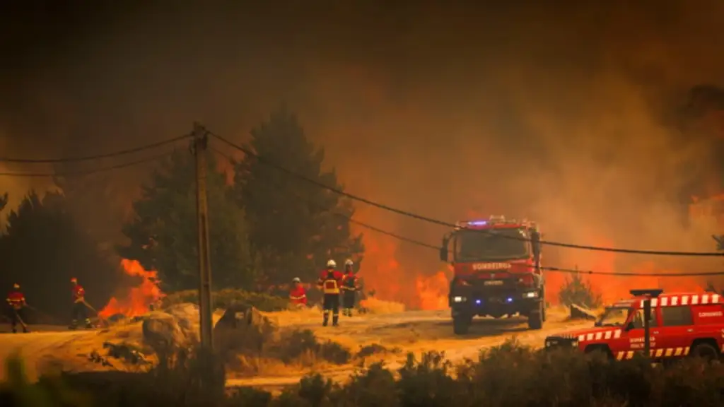 Tragjedi dhe alarm në Mesdhe: Zjarre, evakuime masive dhe temperatura ekstreme