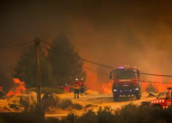 Tragjedi dhe alarm në Mesdhe: Zjarre, evakuime masive dhe temperatura ekstreme