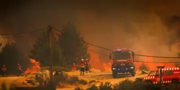 Tragjedi dhe alarm në Mesdhe: Zjarre, evakuime masive dhe temperatura ekstreme