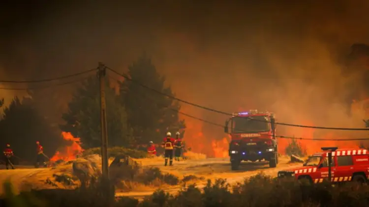 Tragjedi dhe alarm në Mesdhe: Zjarre, evakuime masive dhe temperatura ekstreme