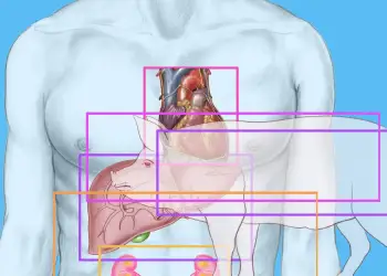 Mjekët në Kinë realizojnë transplant historik: Mushkëri derri e modifikuar gjenetikisht mbijeton te një njeri