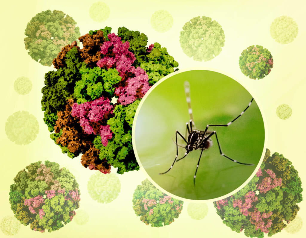 Alarm në Kinë! Mbi 7,000 të infektuar me virusin ‘chikungunya’