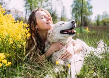 Dita Botërore e Qenit: Mësimet që nxjerrim nga miku ynë më besnik
