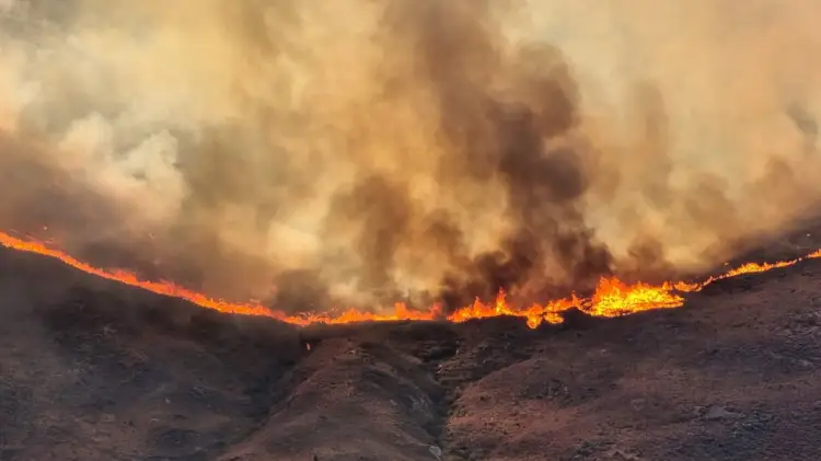 New York Times: Evropa Jugore në flakë, 4 të vdekur në Spanjë, Turqi, Mal të Zi dhe Shqipëri