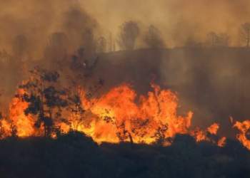 Përmirësohet situata nga zjarret në vend, tre vatra zjarri aktive