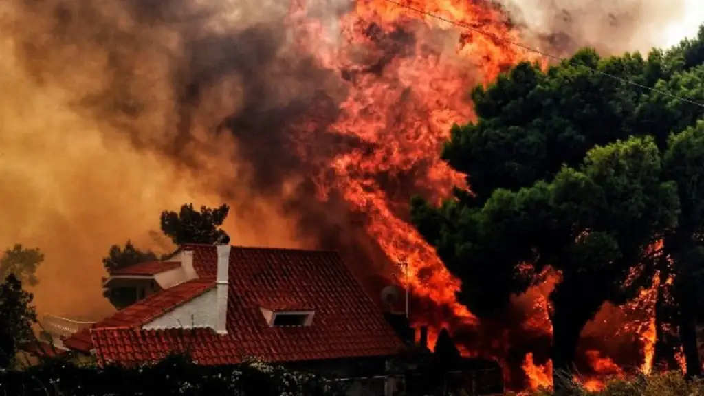 Një fotografi që flet më shumë se fjalët: Banori merr delen në krahë për ta shpëtuar nga zjarri në Greqi