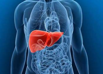 Shkencëtarët zbulojnë shkakun kryesor të sëmundjes vdekjeprurëse të mëlçisë