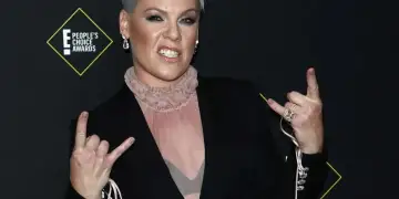 Pink i shqetëson fansat, shfaqet me një injeksion intravenoz