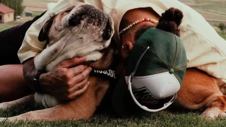 Trishtim për Lewis Hamilton! Piloti i ‘Formula 1’ humb shoqëruesin e tij besnik