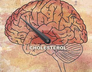 Kolesteroli dhe truri: Çrregullimet që mund të shkaktojë dhe mënyra për t’i parandaluar