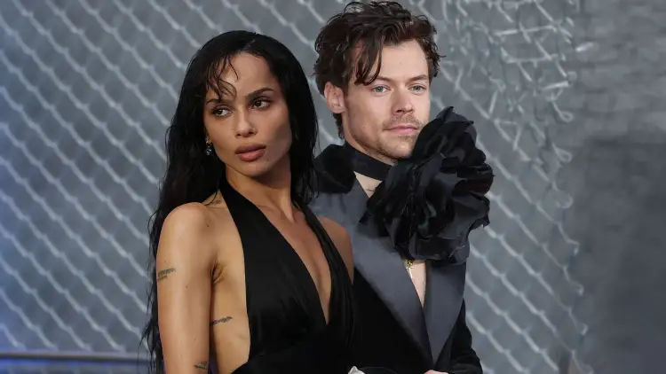 Ecin dorë për dore! Zoe Kravitz dhe Harry Styles fotografohen bashkë në Brooklyn