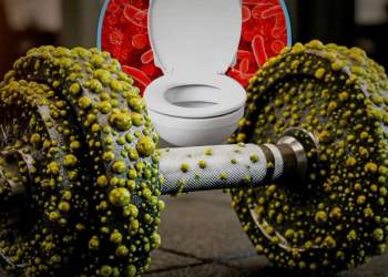 Shtangat e palestrës përmbajnë më tepër mikrobe se tualetet publike!