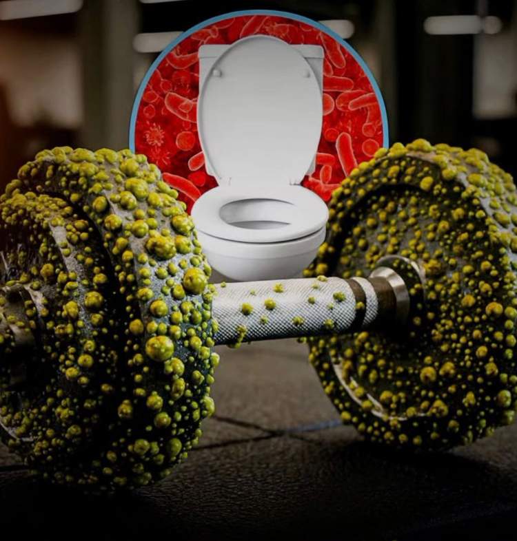 Shtangat e palestrës përmbajnë më tepër mikrobe se tualetet publike!