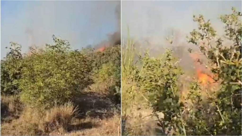 Zjarr në Parkun Kombëtar të Butrintit, flakët rrezikojnë të përhapen