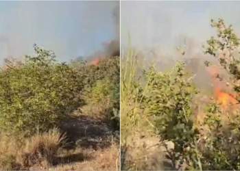 Zjarr në Parkun Kombëtar të Butrintit, flakët rrezikojnë të përhapen