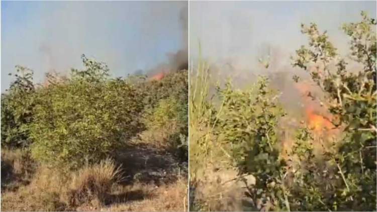 Zjarr në Parkun Kombëtar të Butrintit, flakët rrezikojnë të përhapen