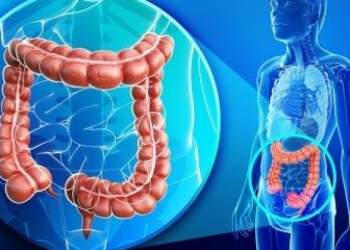 Alarm për brezat e rinj: 7 ushqime që rrisin rrezikun për kancer të zorrës së trashë