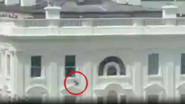 Videoja e dikujt që hedh një objekt nga dritarja e Shtëpisë së Bardhë bëhet virale