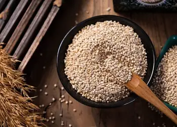 Kur duhet të konsumohen proteinat, para apo pas stërvitjes?