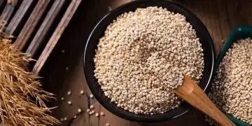 Kur duhet të konsumohen proteinat, para apo pas stërvitjes?