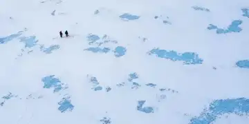 Alarm për ndryshimet klimatike: mikrobet që kanë qenë në gjumë mund të përshpejtojnë ngrohjen globale
