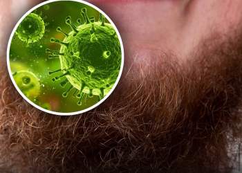 Mjekrat e burrave mund të jenë një “fole” për baktere më shumë se trupi i qenve