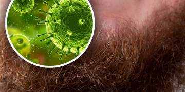 Mjekrat e burrave mund të jenë një “fole” për baktere më shumë se trupi i qenve