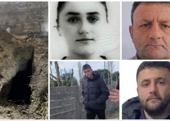 Vranë dhe groposën babanë, Gjykata jep vendimin për familjen Meta