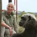 Ndahet nga jeta në moshën 91-vjeçare Jane Goodall, ikona e studimeve mbi shimpanzetë