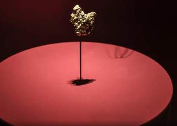 Hajdutët nuk synojnë vetëm Luvrin! Gruaja kineze arrestohet për vjedhje në Muzeun e Historisë Natyrore në Paris