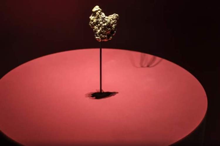 Hajdutët nuk synojnë vetëm Luvrin! Gruaja kineze arrestohet për vjedhje në Muzeun e Historisë Natyrore në Paris