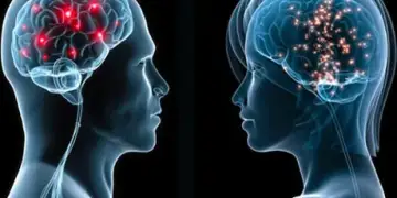 Shkenca flet: Pse truri i burrave plaket më shpejt se ai i grave?