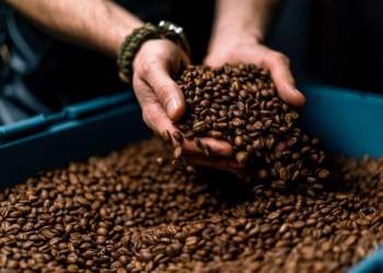 Dita Ndërkombëtare e Kafesë: Rituali i preferuar në botë