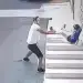 E rëndë në Turqi! Një burrë ndjek një fëmijë 7-vjeçar, e ngre peshë dhe e hedh nga një lartësi