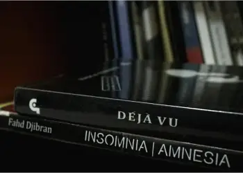 Çfarë ndodh në tru gjatë një deja vu: teori të reja shkencore