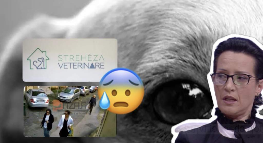 Alarmante në Tiranë/ Drejtoresha e Strehëzës së Kafshëve kapet duke helmuar qen e mace, ndërsa miliona lek zhduken pa asnjë përgjegjësi