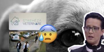 Alarmante në Tiranë/ Drejtoresha e Strehëzës së Kafshëve kapet duke helmuar qen e mace, ndërsa miliona lek zhduken pa asnjë përgjegjësi