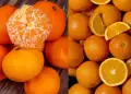 Portokallet dhe mandarinat: kush fiton në përfitimet shëndetësore të dimrit?