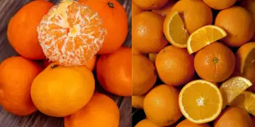 Portokallet dhe mandarinat: kush fiton në përfitimet shëndetësore të dimrit?