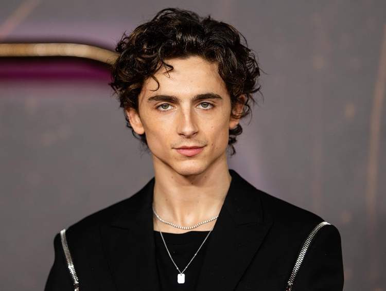 Timothée Chalamet nuk do të kthehet kurrë në televizion!